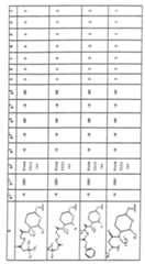 Figure imgf000246_0001