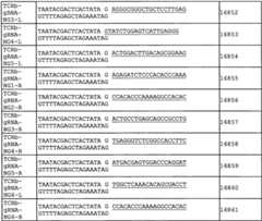 Figure BPA0000291811450001651