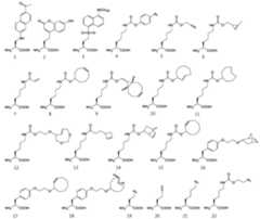 Figure imgf000038_0001