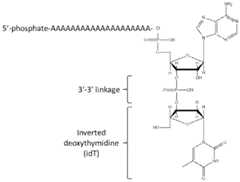 Figure imgf000116_0001