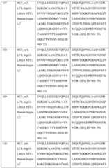 Figure imgf000041_0001