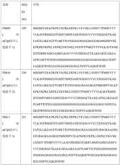 Figure BDA0004113681710001691