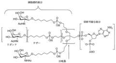 Figure 2023012548000601