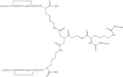 Figure US07906485-20110315-C00029