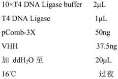 Figure BDA0002370378860000093