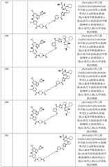 Figure BDA0002964098100002961