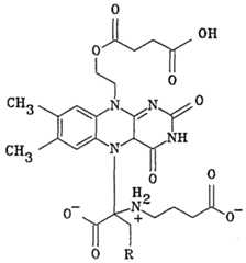 Figure imgf000018_0001
