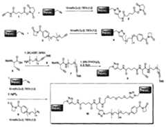 Figure imgf000053_0001