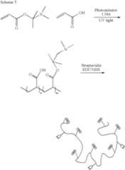 Figure US07354706-20080408-C00007