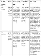 Figure BDA0004089703340001691