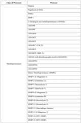 Figure imgf000062_0001