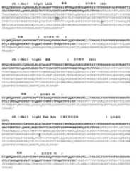 Figure 0007307443000020