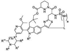 Figure imgf000106_0002