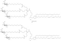 Figure US09220683-20151229-C00390