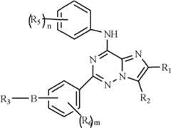 Figure FDA0000051855280000023