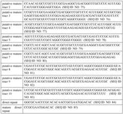 Figure imgf000496_0001