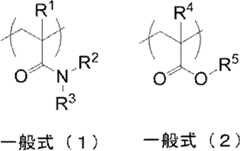 Figure JPOXMLDOC01-appb-C000014