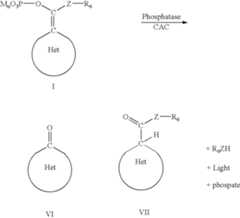 Figure US06635437-20031021-C00014