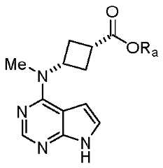 Figure imgf000008_0002