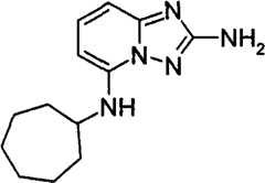 Figure GPA00001035513100552