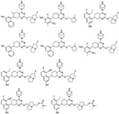 Figure PCTCN2022074782-appb-000075