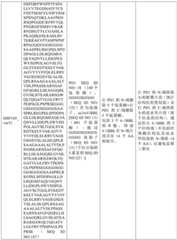 Figure BDA0002939076220001951