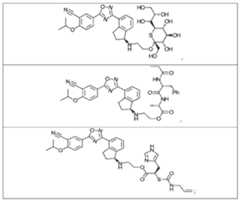 Figure imgf000081_0002