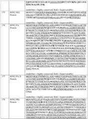 Figure imgf000098_0001