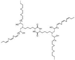 Figure imgf000081_0002