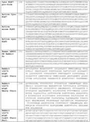 Figure imgf000089_0001