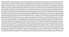 Figure imgf000286_0002