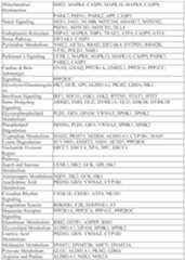 Figure imgf000058_0001