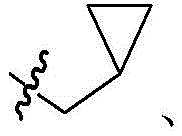 Figure BDA0002861043520000511