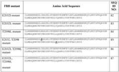 Figure imgf000152_0001