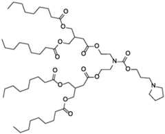 Figure imgf000053_0001