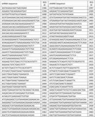 Figure imgf000077_0001