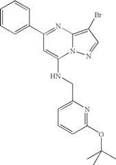 Figure US07119200-20061010-C01486