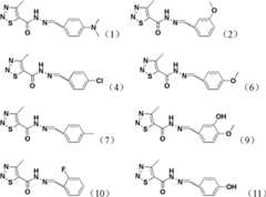 Figure BDA0000022859190000033