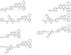 Figure imgf000486_0001