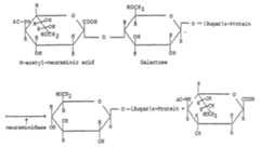 Figure imgf000025_0001