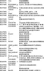 Figure BDA0000057170160001661