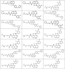 Figure PCTCN2021087774-appb-100004