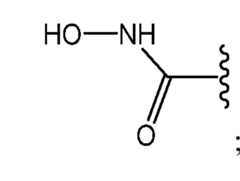 Figure imgf000004_0001