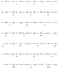 Figure 105135184-A0305-02-0177-87