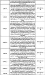 Figure imgf000092_0001