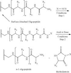 Figure US12000835-20240604-C00012
