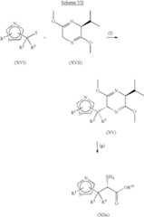 Figure US06949577-20050927-C00016