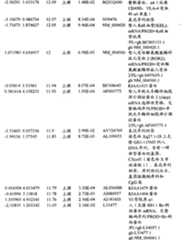 Figure BPA00001280678303111