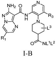 Figure BDA0001412716210005091