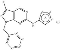 Figure imgf000005_0001